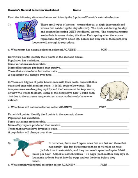 Evolution And Natural Selection Worksheet - Wordworksheet.com