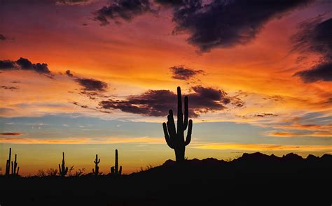 A Desert Silhouette Photograph by Saija Lehtonen