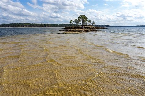 Sam Rayburn Reservoir, Texas - WorldAtlas