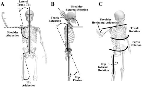 Definition of kinematics: (A) Lateral trunk tilt, shoulder abduction ...