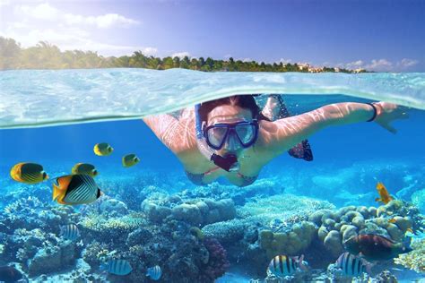 23 Best Snorkeling Spots on the Big Island, Hawaii (with Map) - TourScanner