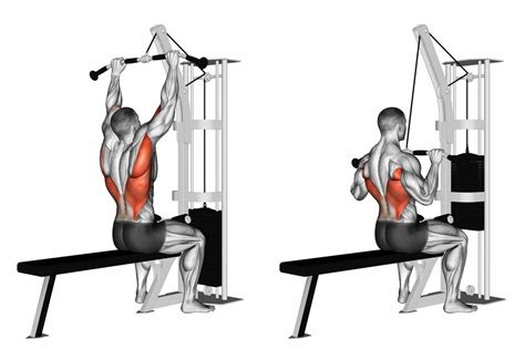 lat pull machine muscles worked - Ermelinda Avery