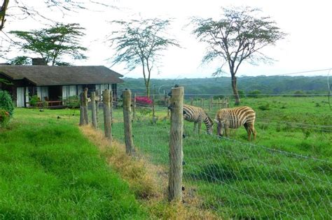 Lake Nakuru Lodge | Join Up Safaris