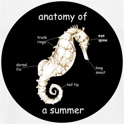 Anatomy Of A Seahorse - Anatomical Charts & Posters