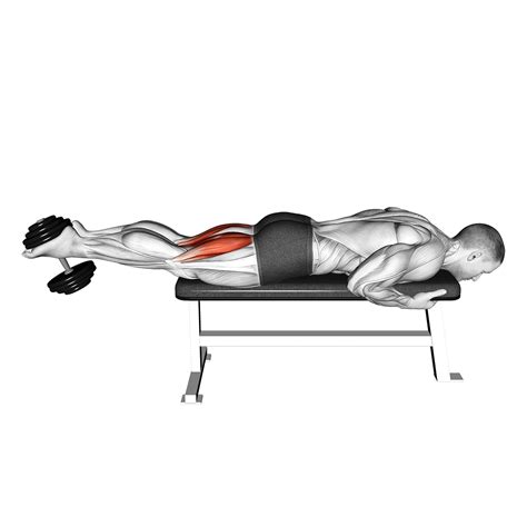 Dumbbell Hamstring Curl