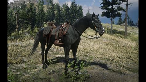 Rdr2 where to find black arabian horse