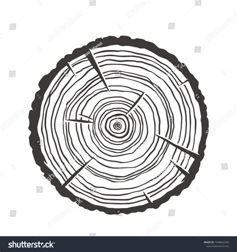 344,995 Stump Trees Images, Stock Photos & Vectors | Shutterstock