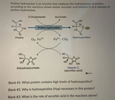 Solved Proline hydroxylase is an enzyme that catalyzes the | Chegg.com