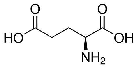 SIGMA-ALDRICH L-Glutamic Acid, 100g, ReagentPlus(R) - 45ZZ20|G1251-100G ...