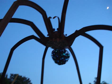 Giant Spider In Austin Texas by KehXKeova on DeviantArt