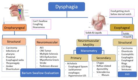 Dysphagia Diagram