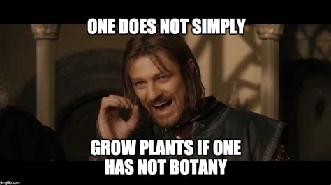 These Plant Memes on Instagram Are Internet Comedy Gold - Sunset Magazine