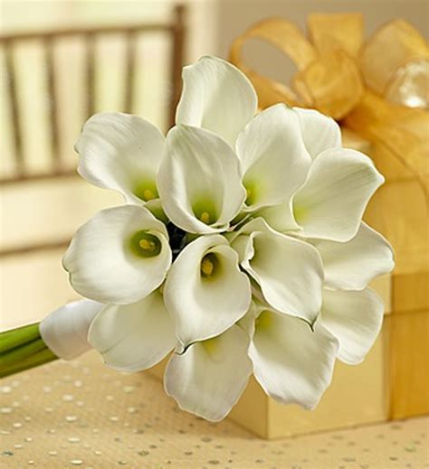 White Mini Calla Lily Bouquet - Nancy's Floral