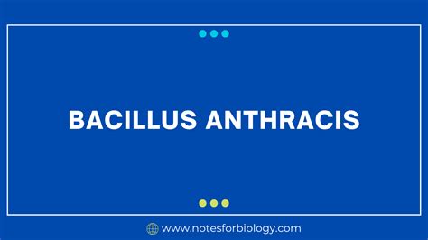 Bacillus anthracis- An Overview - Best Biology Notes, Reference, Articles