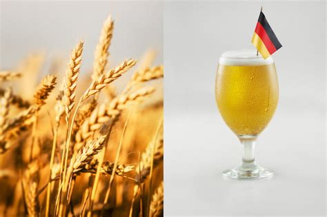 What is German Wheat Beer? Everything You Need To Know