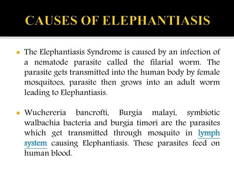 Elephantiasis : causes, symptoms, diagnosis and treatment