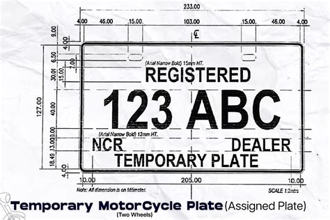 No license plate? This is the new format for improvised/temporary ...