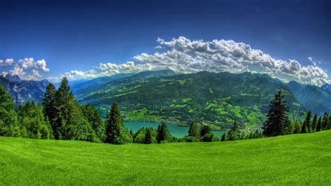 Download Green Mountains And Pine Trees Nature Wallpaper | Wallpapers.com