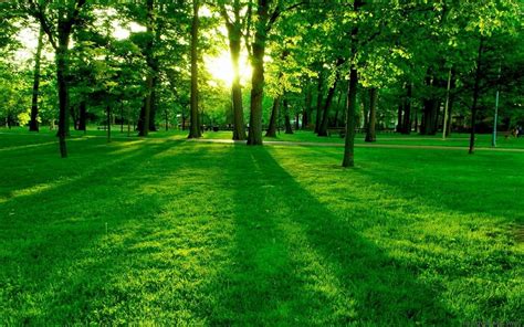 HD Green Landscape Wallpapers - 4k, HD Green Landscape Backgrounds on ...