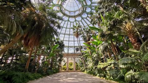 Inside the Royal Greenhouses of Laeken – CRUISE TO TRAVEL