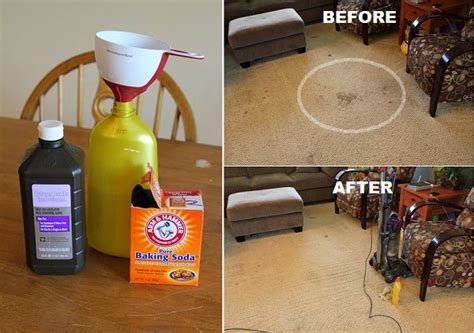 Ideas & Products: DIY Carpet Cleaner