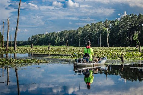 Is Wheeler Lake Alabama’s Best Bass Lake? | Kayak Angler