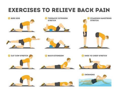 Physiotherapy Exercises for Lower Back Pain | Top 11 Exercises