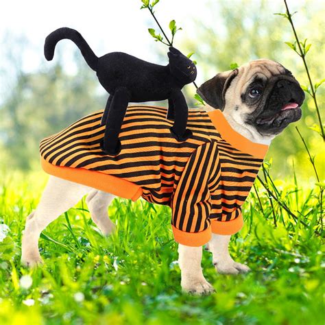 Travelwant Dog Costumes Halloween Funny Pet Suit with Black Cat Cute ...