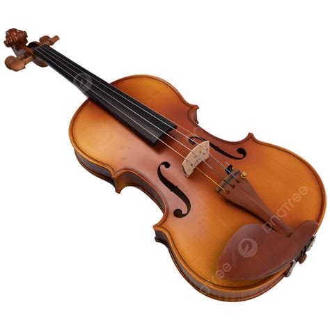 Violin Exquisite Violin Playing Entertainment Classical Stringed ...