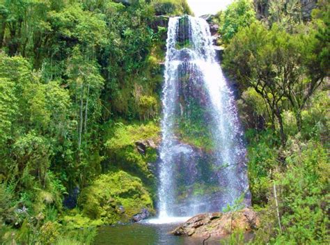 Image result for congo jungle waterfall | Congo rainforest, Rainforest ...