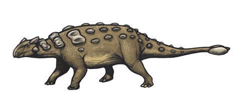 Ankylosaurus | Dinopedia | FANDOM powered by Wikia