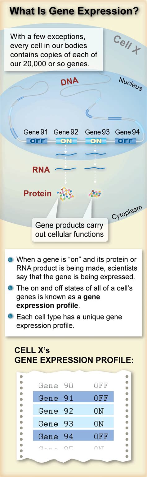 Measuring Gene Expression