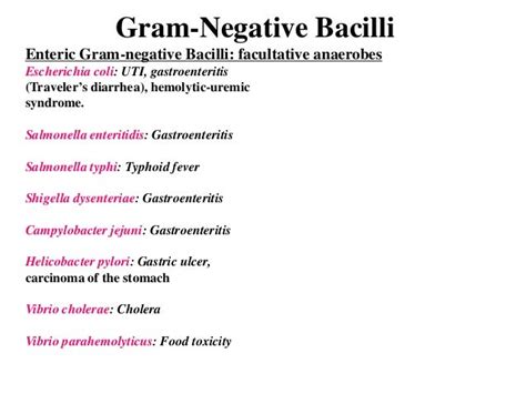 5 - Bacteria Pathogens