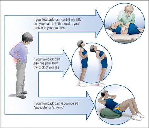 Low Back Pain: How Does Your Physical Therapist Treat Low Back Pain ...