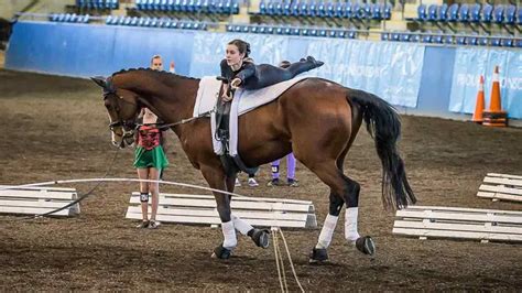 Equestrian Vaulting: The Most Beautiful and Enjoyable Horse Sport