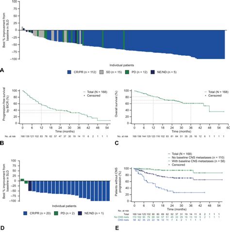 Long-Term Efficacy and Safety of Entrectinib in ROS1 Fusion–Positive ...