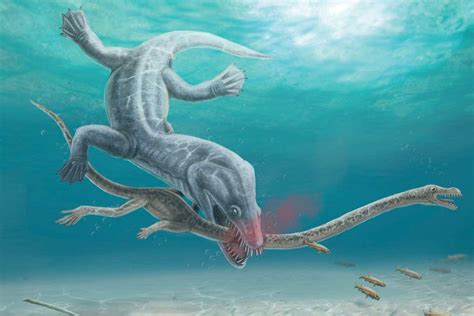 Ancient reptiles' long necks made them vulnerable to decapitation | New ...