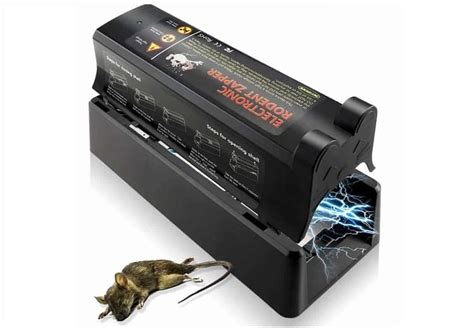 10 Best Electric Mouse Traps to Use in 2021 | Insect Hobbyist