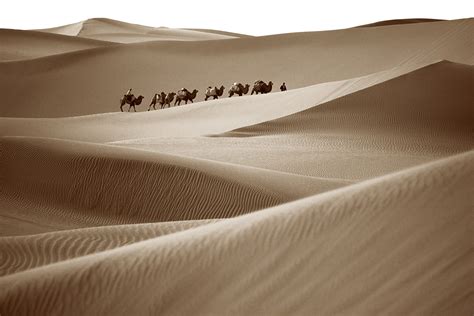 The Taklamakan Desert Crossing Expedition — The Personal Work of Keith ...