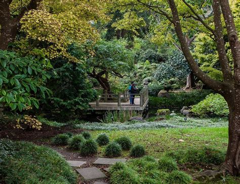 Turkey Day Headlines: Don't Forget That the SF Botanical Garden Is Free ...