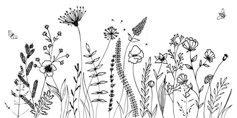 Black silhouettes of grass, flowers and herbs isolated on white ...