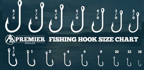 fishing hooks size chart Hook fishing hooks fly beknopt tying sizing