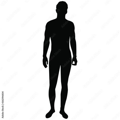 Vector silhouette figure of a man, standing, black color, isolated on ...