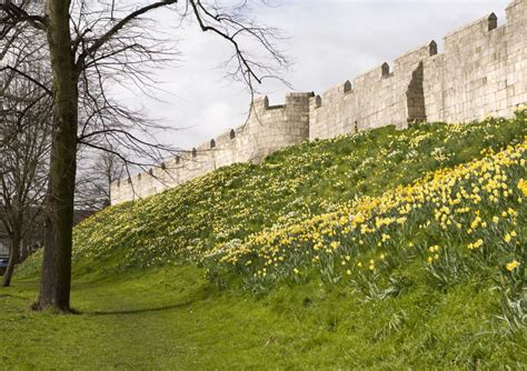 2 Days in York Itinerary - Things to Do in York for Families