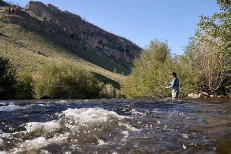 Wyoming Fly Fishing: Finding The Best Fly Fishing In Wyoming