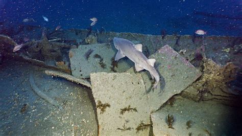 See inside a shipwreck thousands of feet beneath the Atlantic Ocean ...