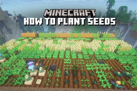 How to Plant Seeds in Minecraft - Complete Guide for All Crops