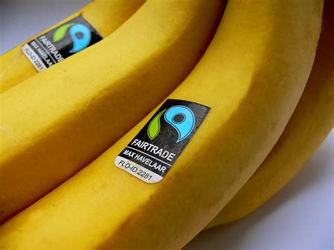 The Other Fair Trade: Why Equitable Bananas Matter | Civil Eats