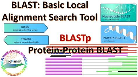 Basic Local Alignment Search Tool Blast - slideshare