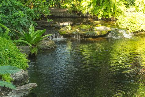 waterfall in tropical garden during spring season. beautiful ...